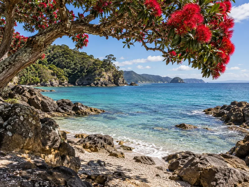 Cathedral Cove's rock arch on the Coromandel Peninsula