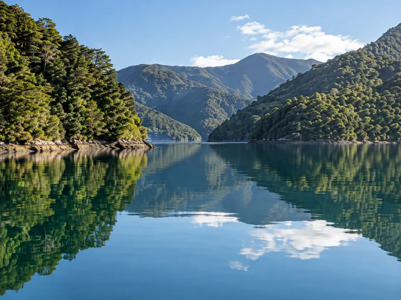 A quiet bay in the Marlborough Sounds with forested hills