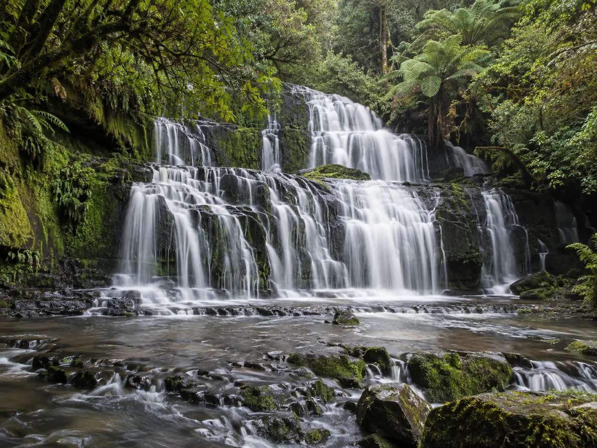 Purakaunui Falls in the Catlins, tiered over mossy rock